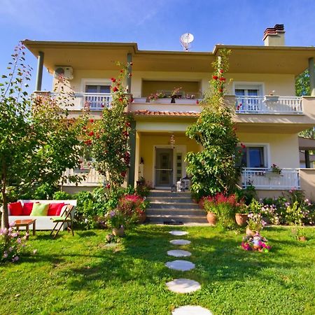 Angel Villa - Thassos Town Екстериор снимка