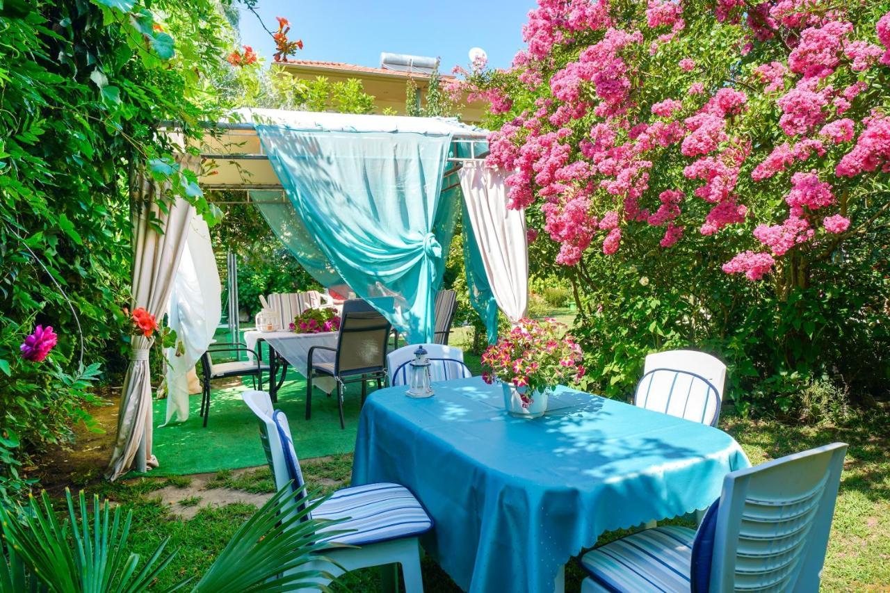 Angel Villa - Thassos Town Екстериор снимка